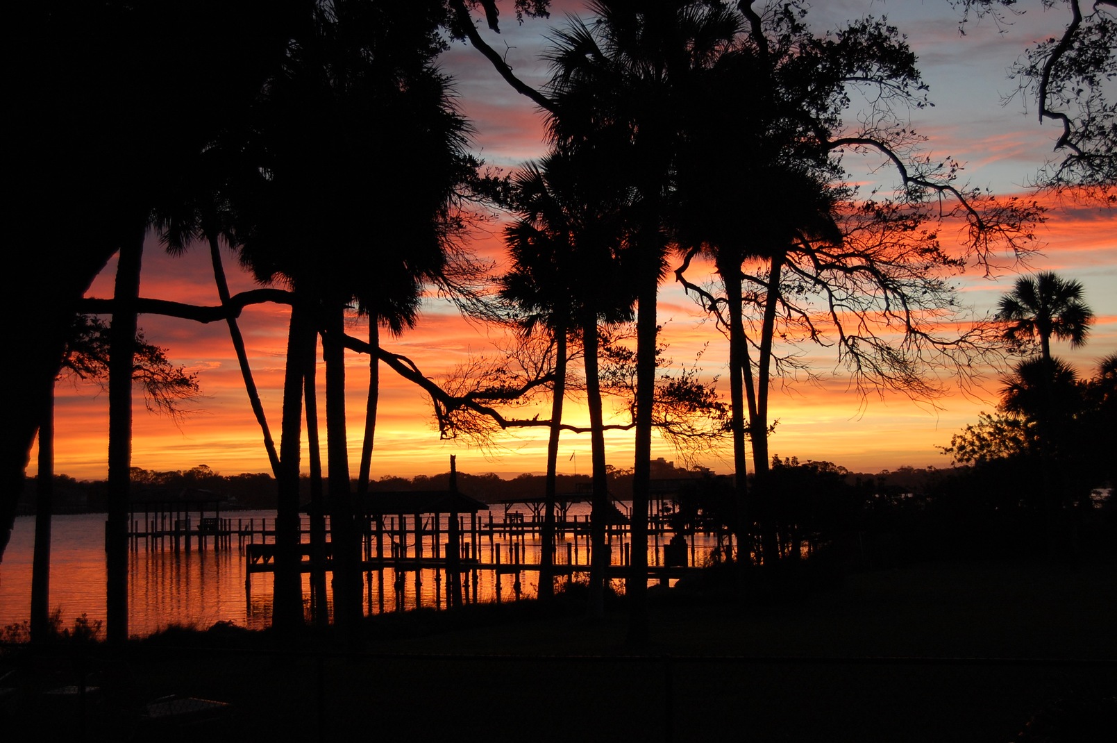 Discover the Real Florida on the Ormond Scenic Loop and Trail